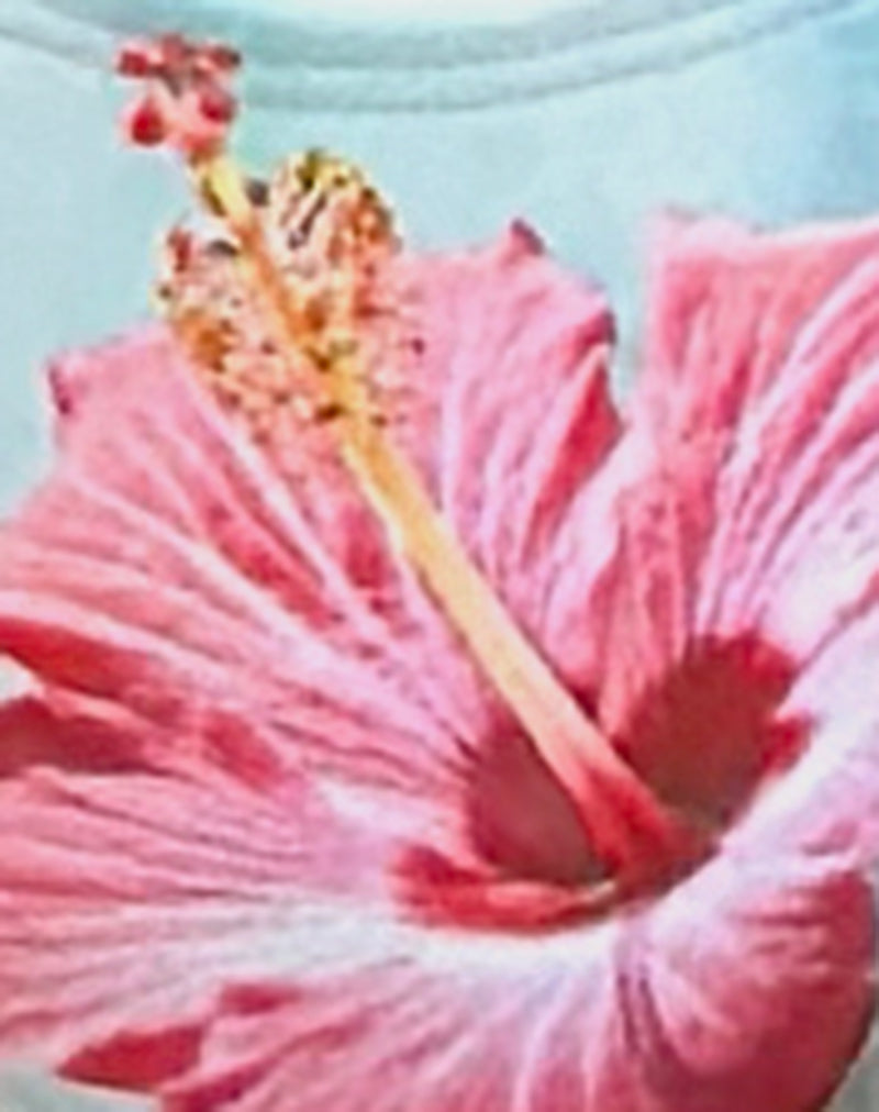 Farida Bikini Bottoms in Hibiscus Wave Blue