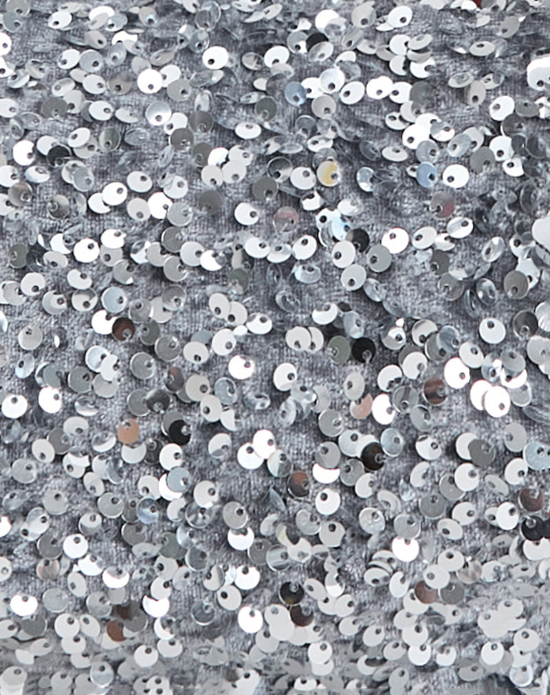 Sequin Hobo Bag in Silver